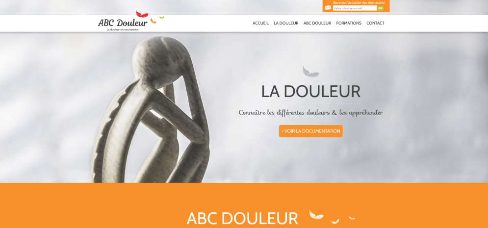 Site web formation sur les douleurs