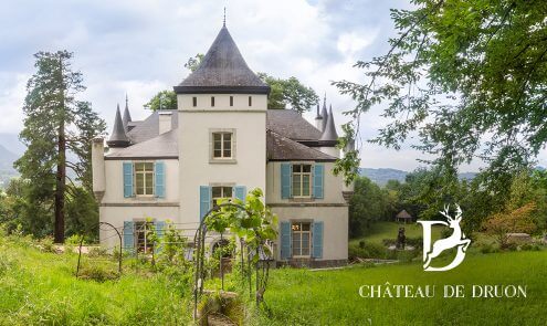 Chambres d'hôtes au Château de Druon